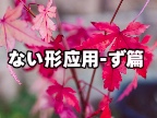 ない形应用-ず篇