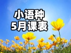 西班牙语5月招生啦