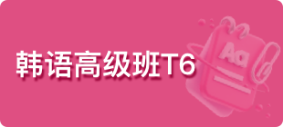 韩语高级班T6
